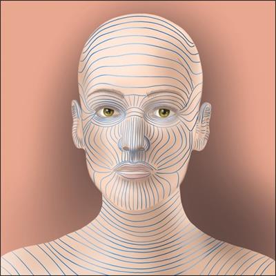The effects of mechanical force on fibroblast behavior in cutaneous injury